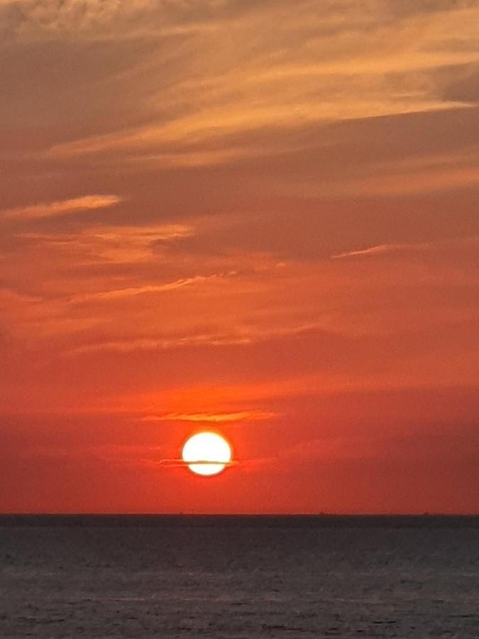Cintra Lägenhet Middelkerke Exteriör bild