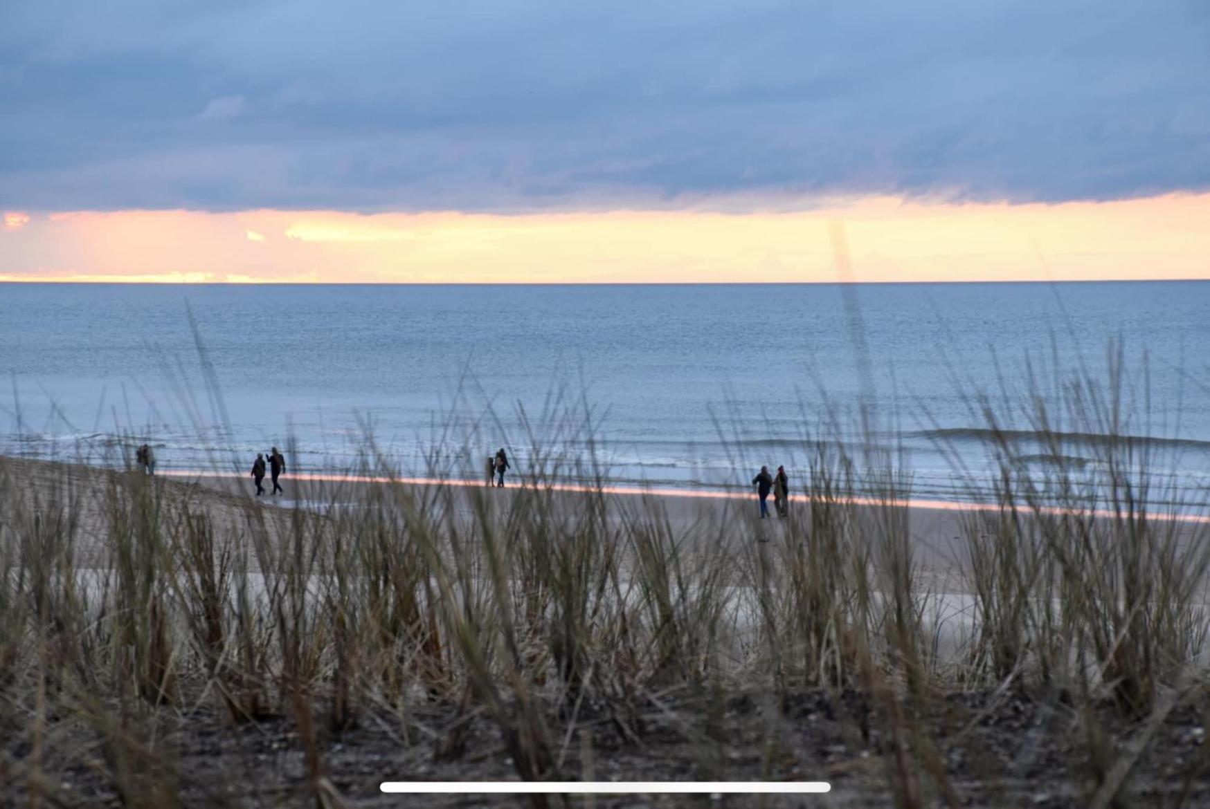 Cintra Lägenhet Middelkerke Exteriör bild